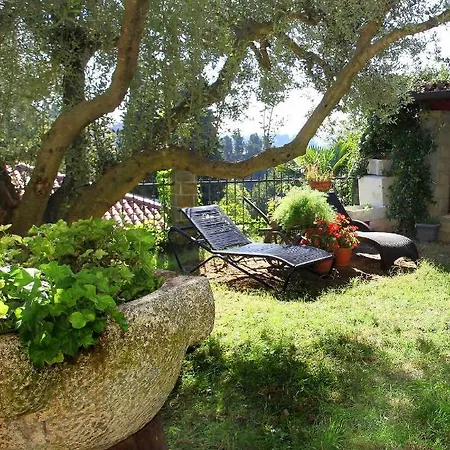 Champagne Vp Portorož