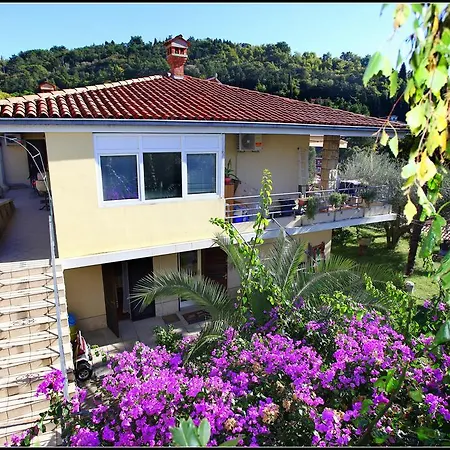 Champagne Vp Portorož