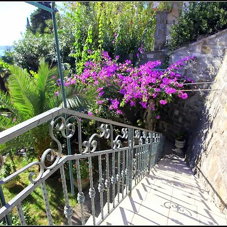 Champagne Vp Гостевой дом