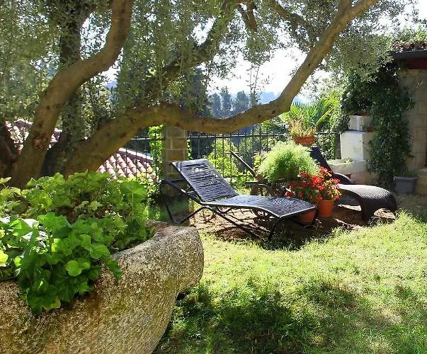 Champagne Vp 波尔托罗