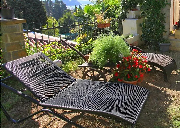 Champagne Vp 招待所 波尔托罗