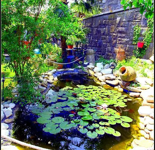 Champagne Vp Portoroz