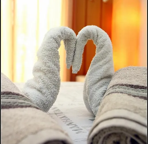 Champagne Vp 招待所